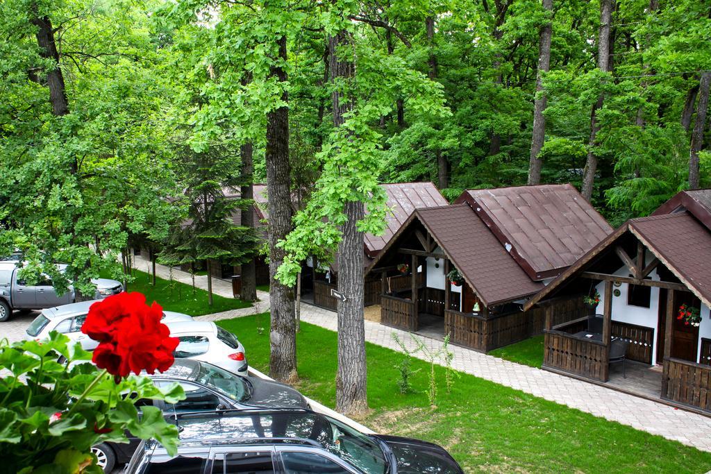Cornul Vanatorului Bungalows Pitesti Ngoại thất bức ảnh