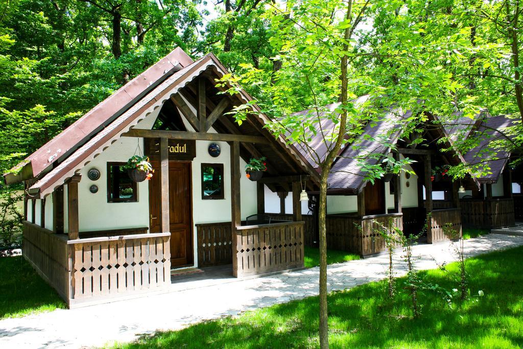 Cornul Vanatorului Bungalows Pitesti Ngoại thất bức ảnh