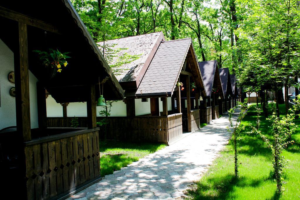 Cornul Vanatorului Bungalows Pitesti Ngoại thất bức ảnh