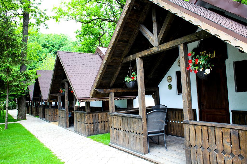 Cornul Vanatorului Bungalows Pitesti Ngoại thất bức ảnh
