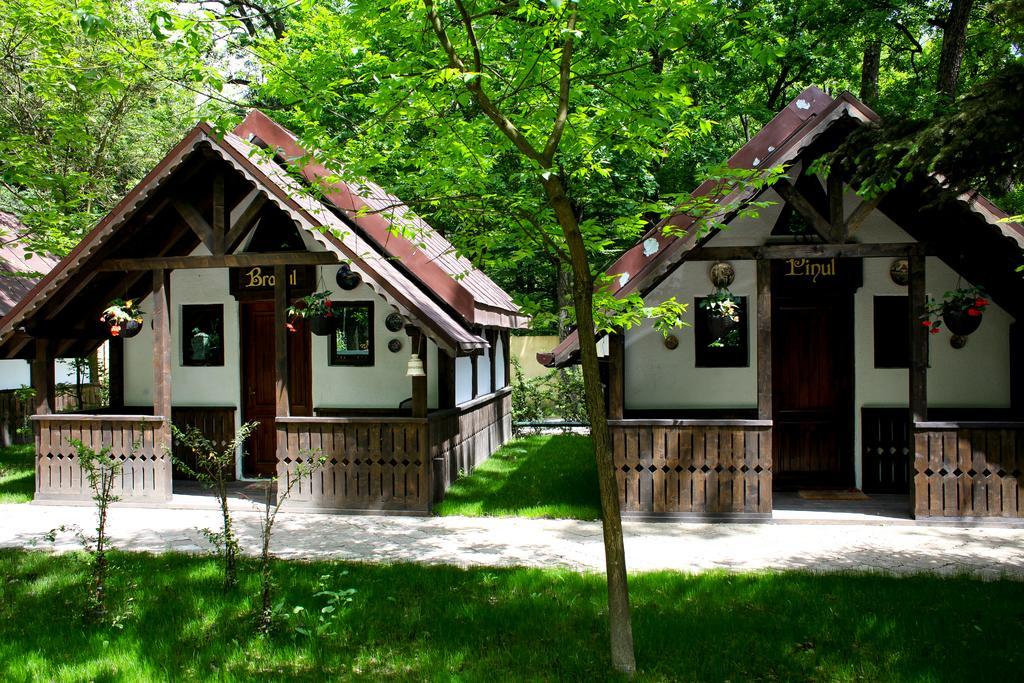 Cornul Vanatorului Bungalows Pitesti Ngoại thất bức ảnh