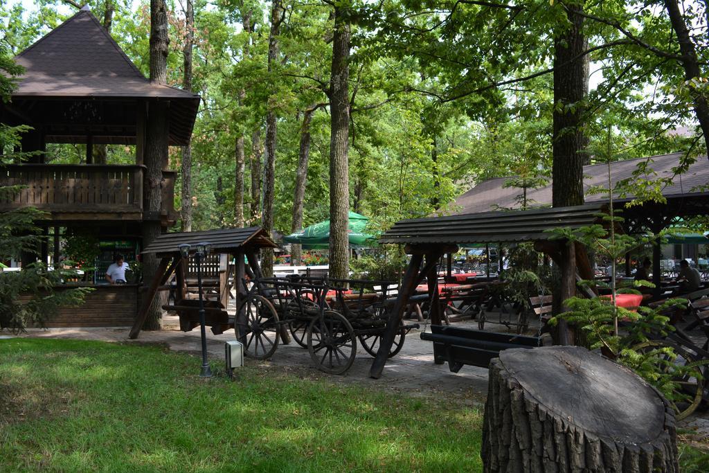 Cornul Vanatorului Bungalows Pitesti Ngoại thất bức ảnh