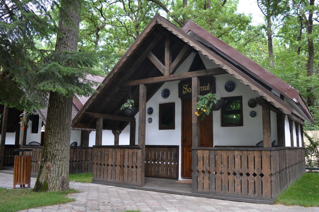 Cornul Vanatorului Bungalows Pitesti Ngoại thất bức ảnh