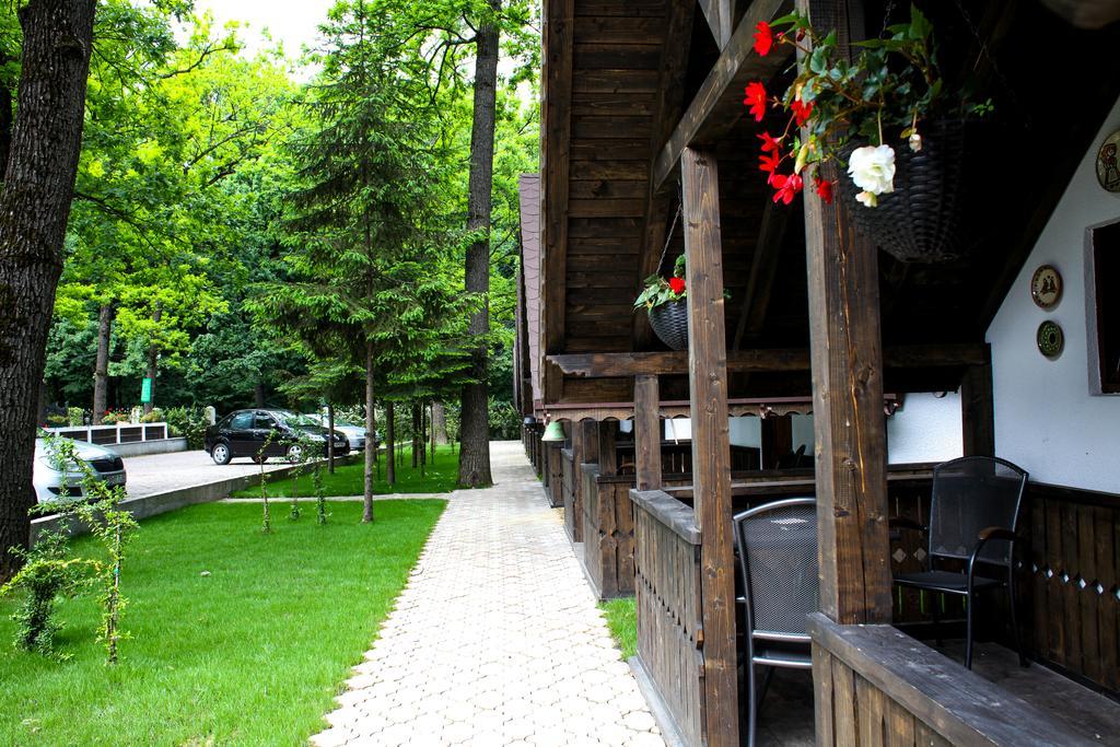 Cornul Vanatorului Bungalows Pitesti Ngoại thất bức ảnh